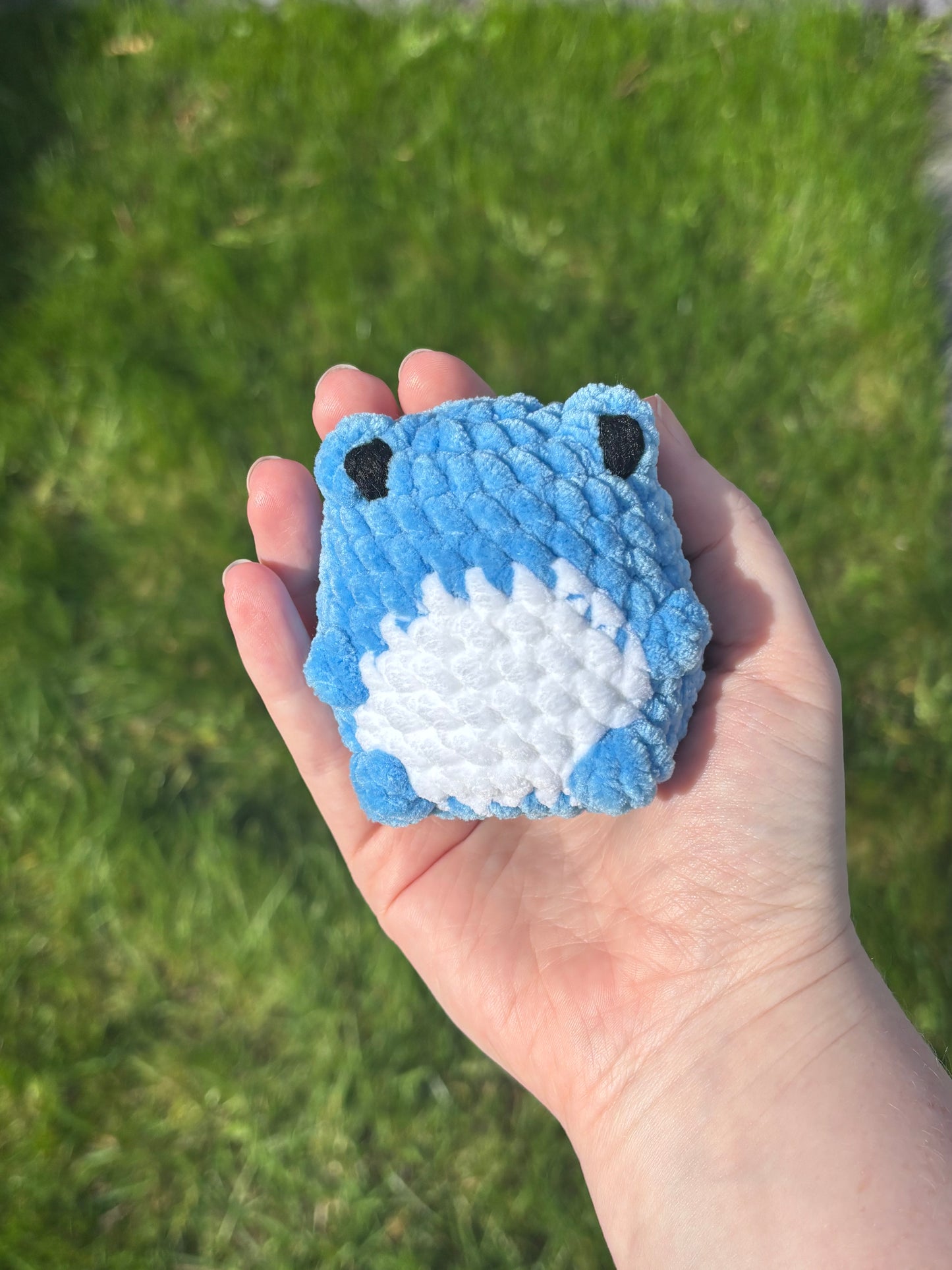 Squishy Froggie Crochet Plushie