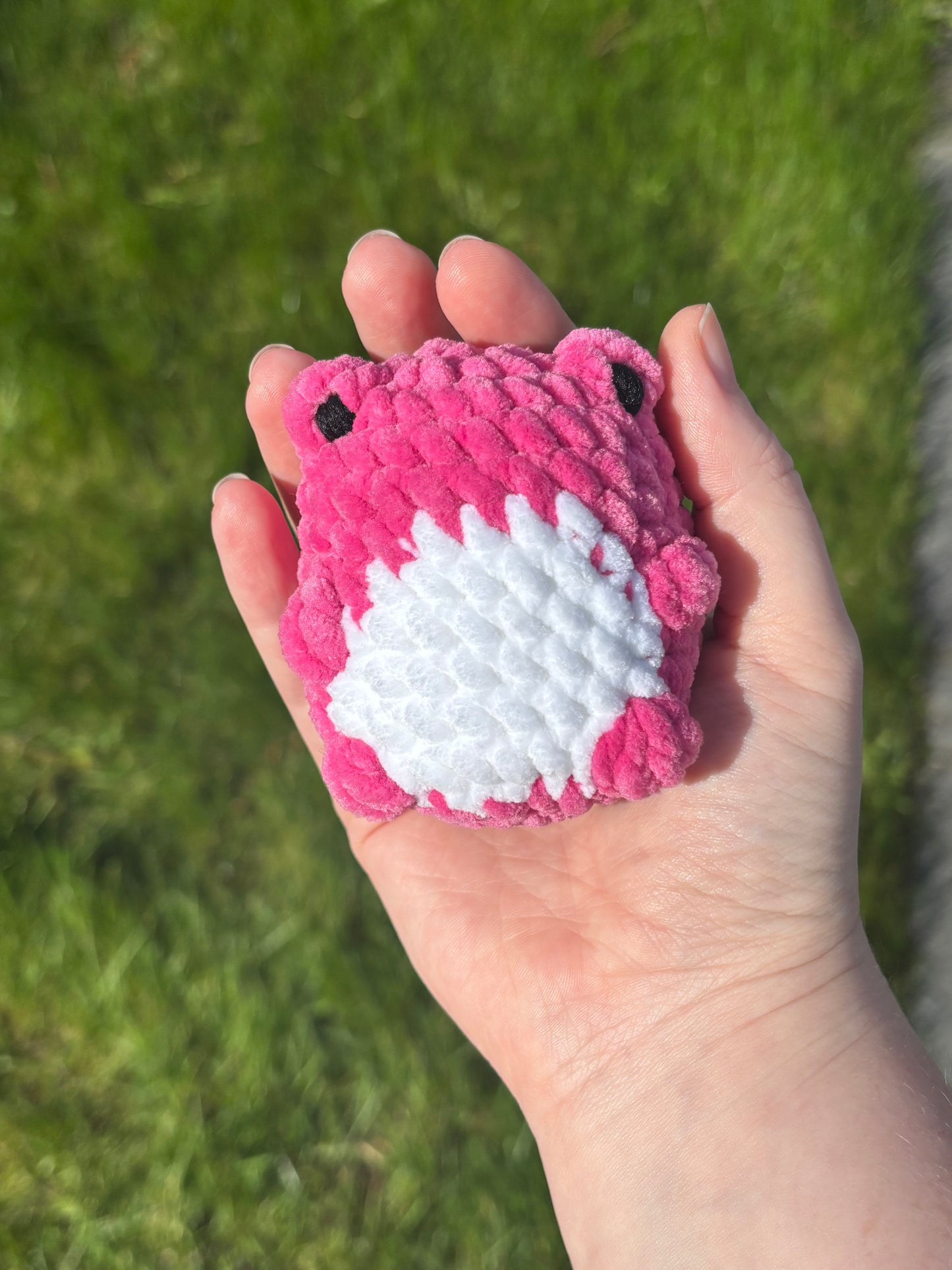 Squishy Froggie Crochet Plushie